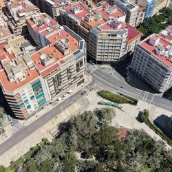 Foto palmovy haj Elche