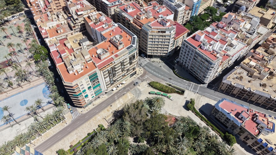 Foto palmovy haj Elche