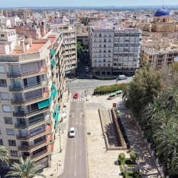 Foto palmovy haj Elche