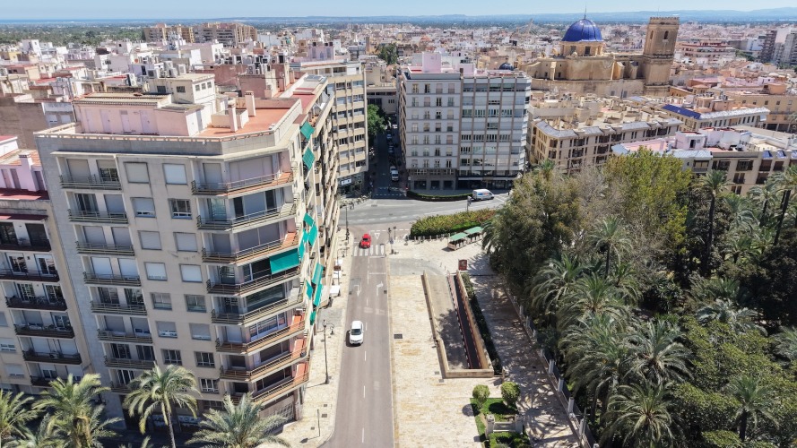Foto palmovy haj Elche