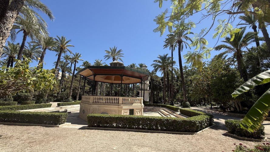Foto palmovy haj Elche