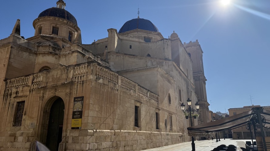 Foto palmovy haj Elche