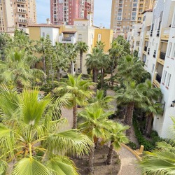 Penthouse photo Los Locos