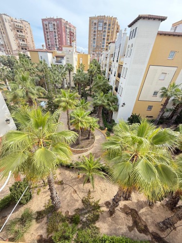 Penthouse photo Los Locos