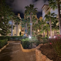 Penthouse photo Los Locos