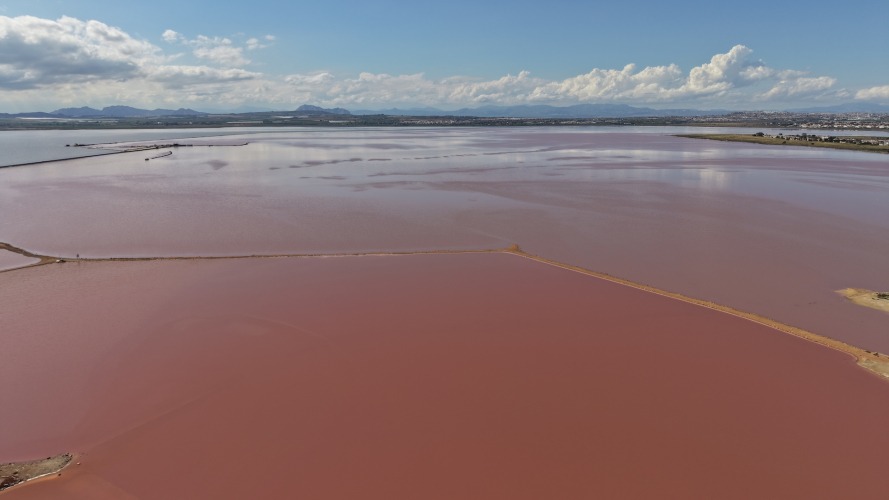 Foto Salinas de Torrevieja