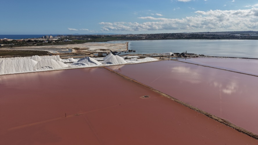 Foto Salinas de Torrevieja