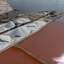 Foto Salinas de Torrevieja