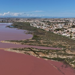 Foto Salinas de Torrevieja