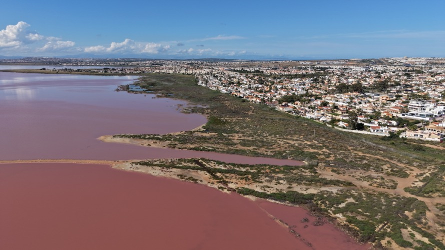 Foto Salinas de Torrevieja