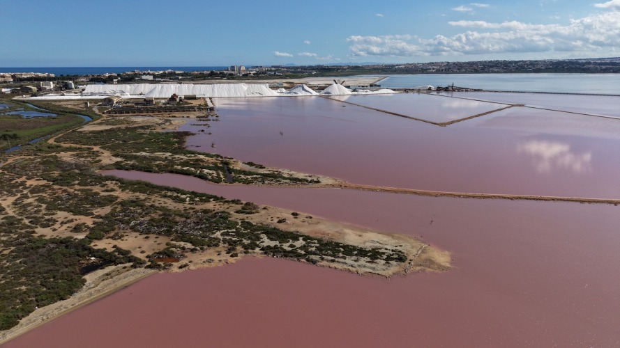 Foto Salinas de Torrevieja