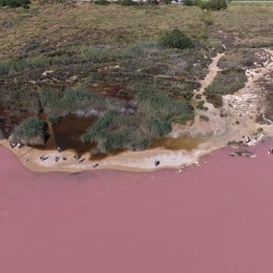 Foto Salinas de Torrevieja