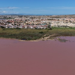 Foto Salinas de Torrevieja