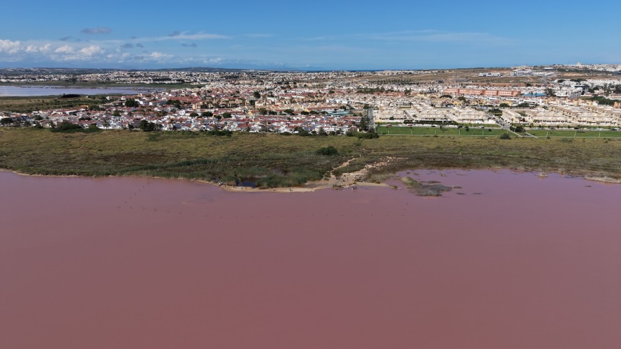 Foto Salinas de Torrevieja