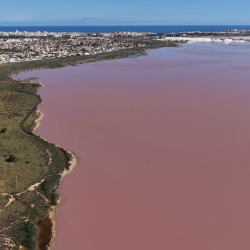 Foto Salinas de Torrevieja