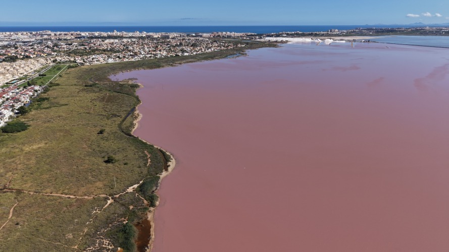 Foto Salinas de Torrevieja