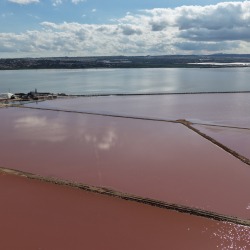 Foto Salinas de Torrevieja