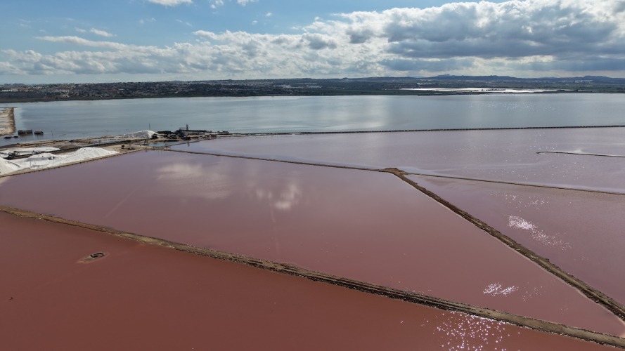 Foto Salinas de Torrevieja