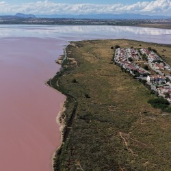 Foto Salinas de Torrevieja