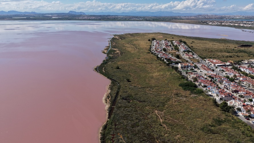 Foto Salinas de Torrevieja