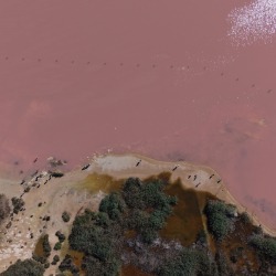 Foto Salinas de Torrevieja