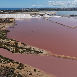 Foto Salinas de Torrevieja