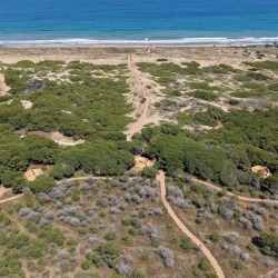 Foto torre la mata