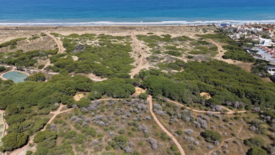 Foto torre la mata