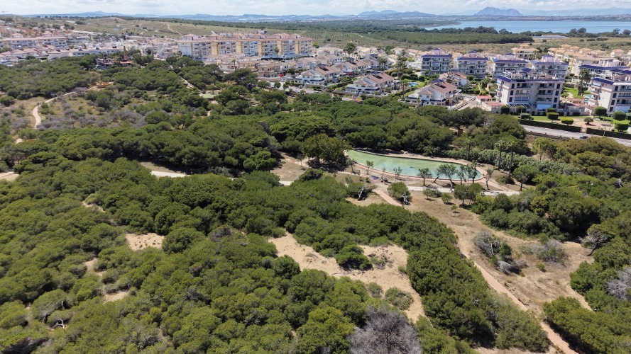 Foto torre la mata