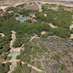 Foto torre la mata