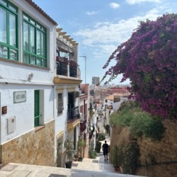 Alicante