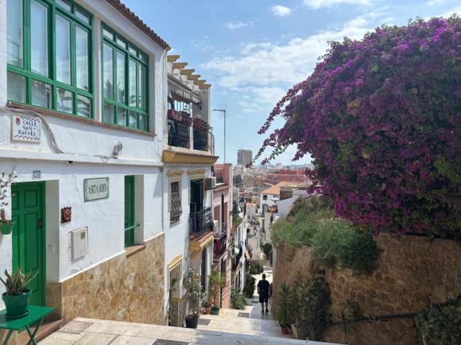 Alicante