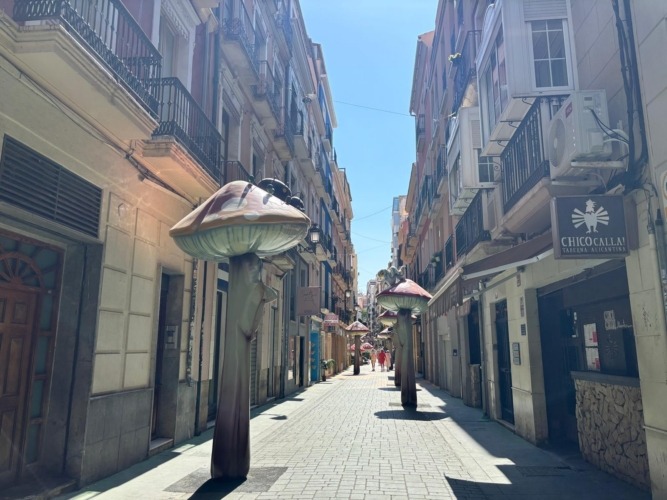 Alicante