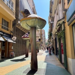Alicante