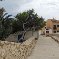 Tabarca