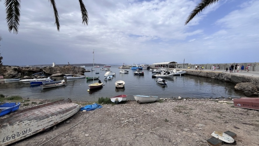 Tabarca