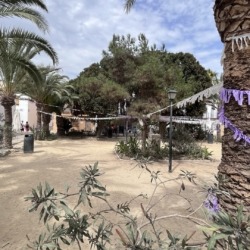 Tabarca