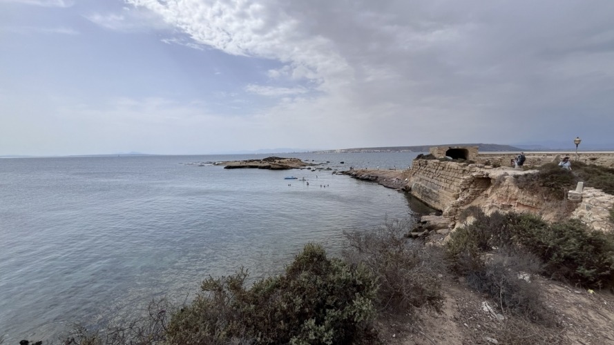 Tabarca