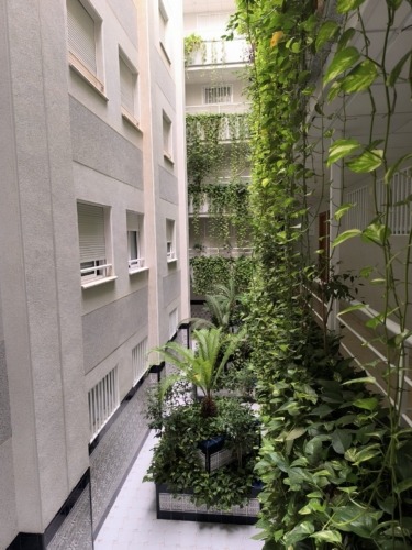 Apartmna Cura 2